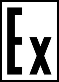 Ex
