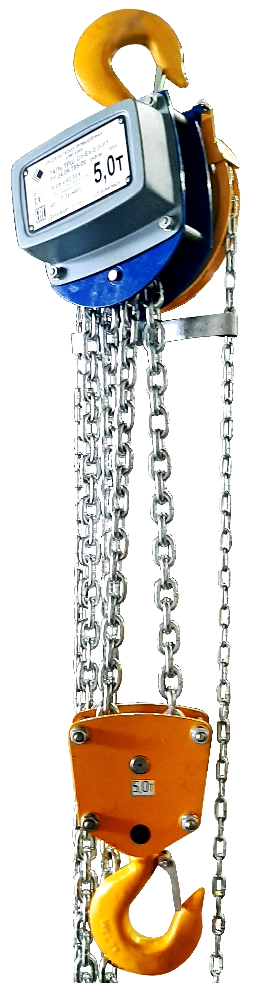 ���� ������������ ����������������� 5 ����